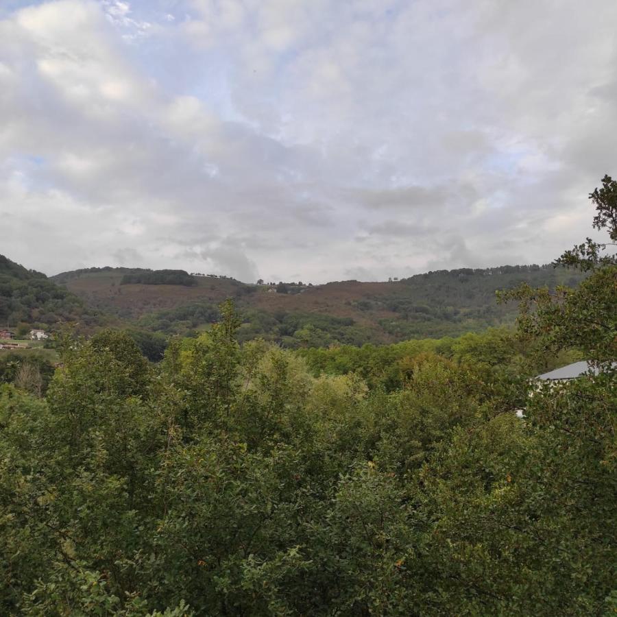 Apartamento Amezti Elizondo Dış mekan fotoğraf